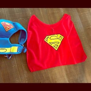 Super Man dog harness with cape.